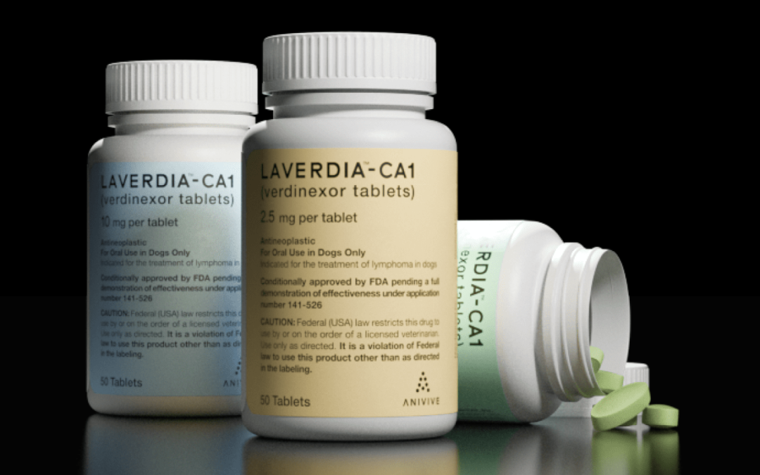 Tabletele Laverdia – CA1 aprobate de FDA, pentru tratamentul câinilor diagnosticați cu limfom