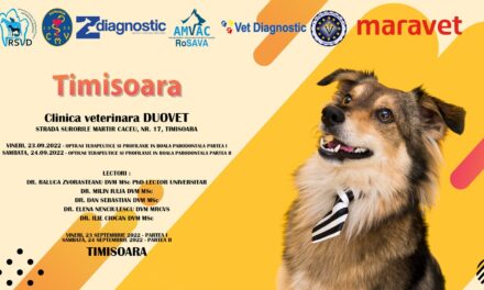 Workshop de stomatologie veterinară: Opțiuni terapeutice și profilaxie în boala parodontală