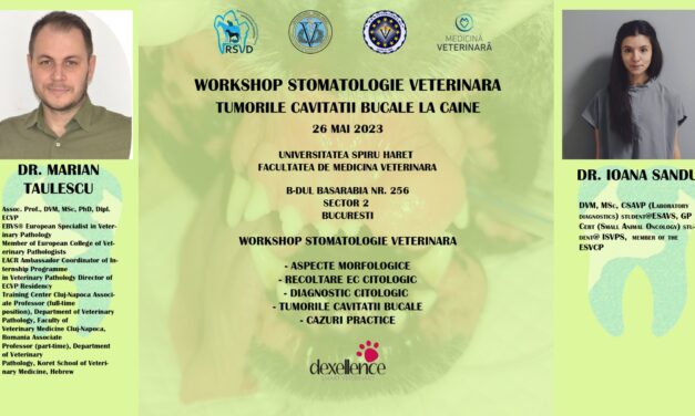 Workshop: Tumorile cavității bucale la câine, 26 mai 2023